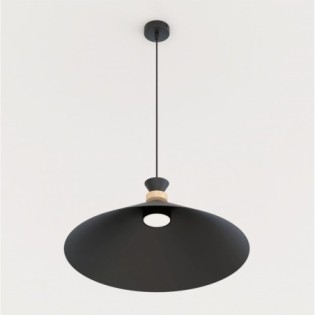 Erebo L Black Ceiling Lamp