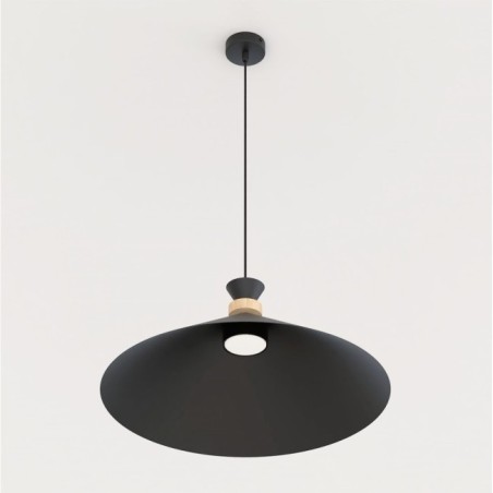 Erebo L Black Ceiling Lamp