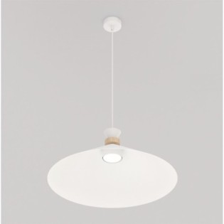 Erebo L White Ceiling Lamp