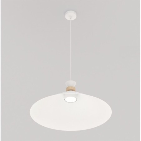Erebo L White Ceiling Lamp
