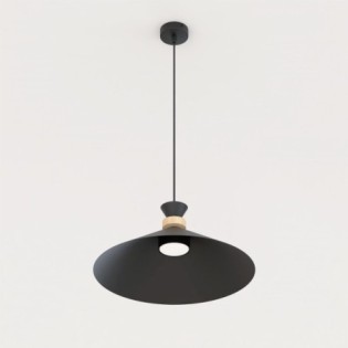 Erebo M Black Ceiling Lamp