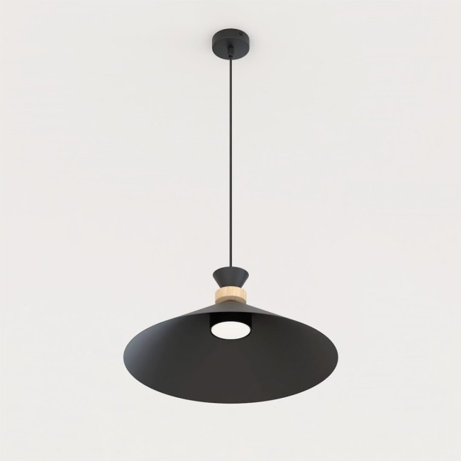 Erebo M Black Ceiling Lamp