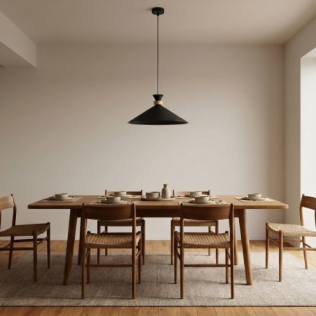 Erebo M Black Ceiling Lamp