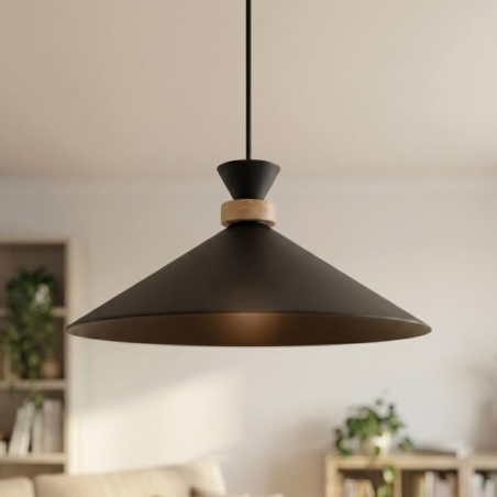 Erebo M Black Ceiling Lamp