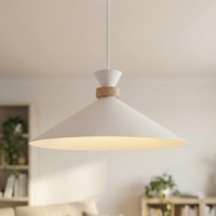 Erebo M White Ceiling Lamp