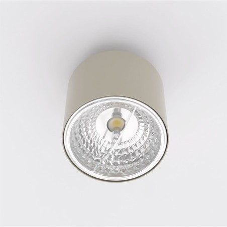 Asteria Beige Ceiling Light