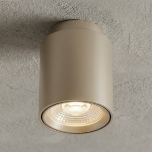 Asteria Beige Ceiling Light