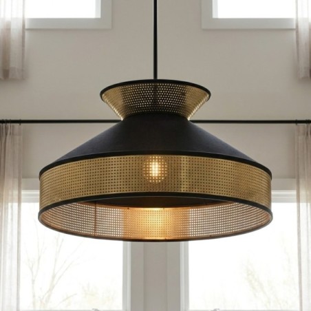 Alfeo Black Ceiling Lamp