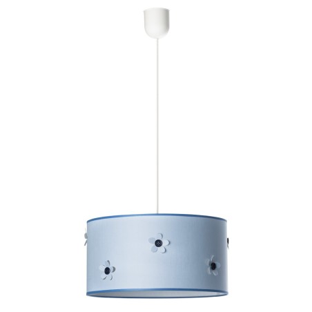 Ceiling lamp Button
