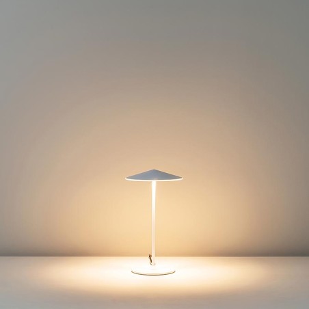 LED Table lamp Pla (15W)