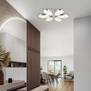 Ceiling Flush Light LED...