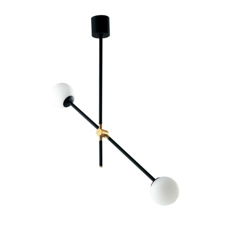 Ceiling Light Antitesi (2 Lights)