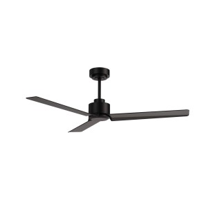 Ceiling Fan Anne M