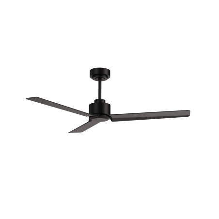Ceiling Fan Anne M