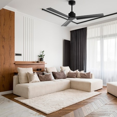Ceiling Fan Anne M