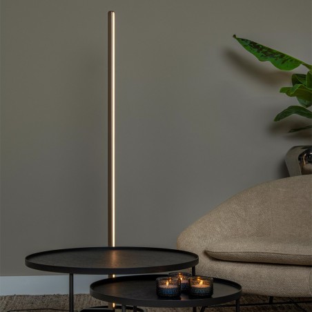Braga CCT Dim LED floor lamp (22W)