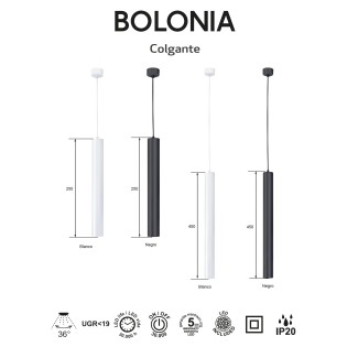 Lámpara colgante LED Bolonia CCT (10W)