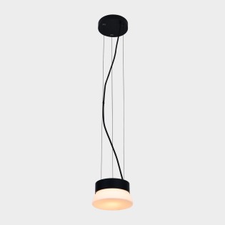LED Pendant Lamp Trap (10W)
