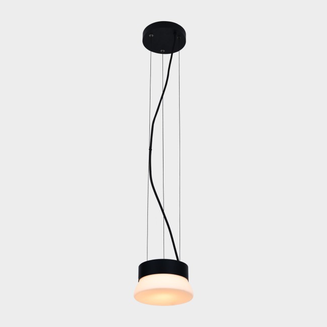 LED Pendant Lamp Trap (10W)
