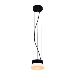 LED Pendant Lamp Trap (10W)
