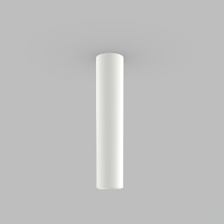 Flush light Zoom