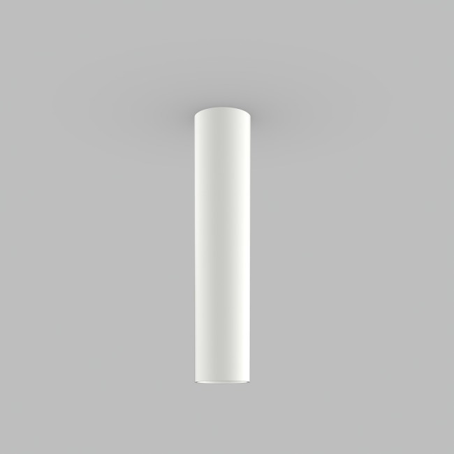 Flush light Zoom