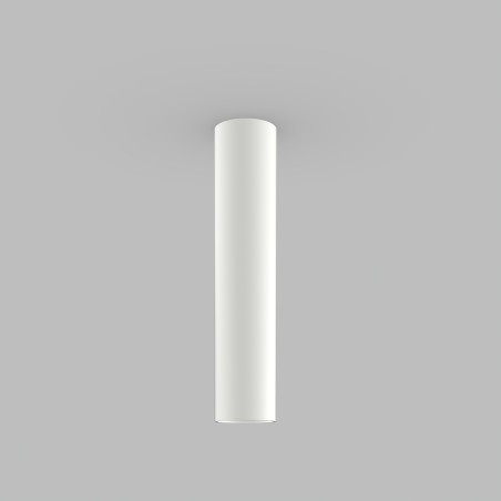 Flush light Zoom