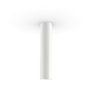 Flush light Zoom