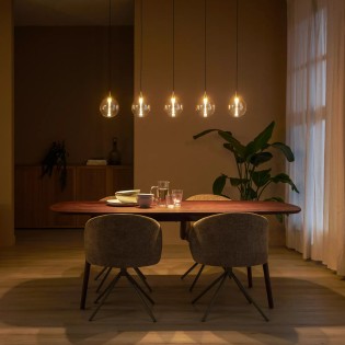 Gisela Dim LED Ceiling Light (5x4W)