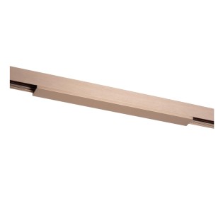 Cubierta para carril Linial