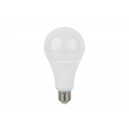 Light Bulb Standard LED A80 cold light (17W)