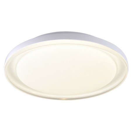 Flush Light LED Delbo adjustable (40W)