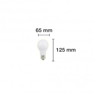 Light Bulb Standard LED E27 warm light (15W)