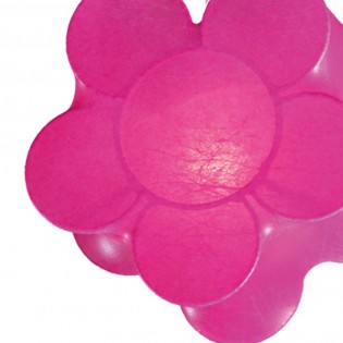 Regleta Flores (2 luces)