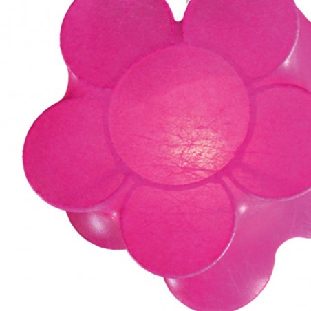 Regleta Flores (2 luces)