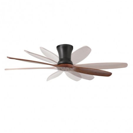 Ceiling fan Lama