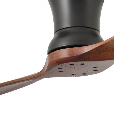 Ceiling fan Lama