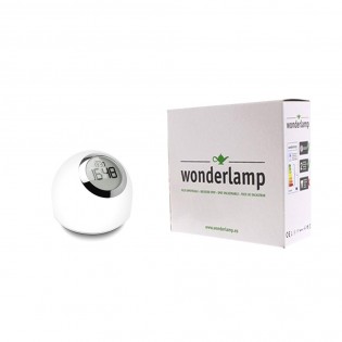 Lámpara Led Bola (RGB)