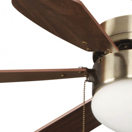 Ventilador de techo