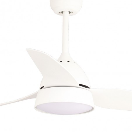 Fan with light LED Brisa