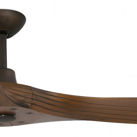 Ceiling fan Morea