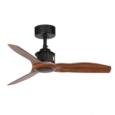 Mini Fan Just Fan