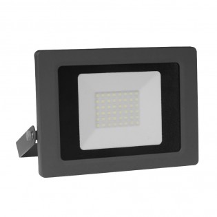 LED Outdoor Spotlight Liger (30W)