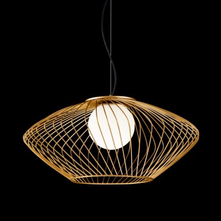 Pendant Light Plec