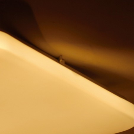 LED Ceiling Flush Light DW360 (48W)