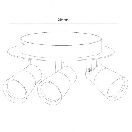 Ceiling Flush Light Iris (3 lights)