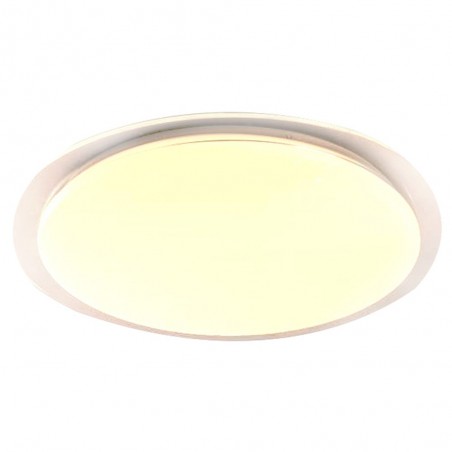 LED Flush Light Nelia (60W)