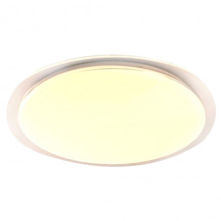 LED Flush Light Nelia (60W)