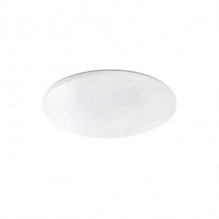 LED Flush Light Bic (60W)