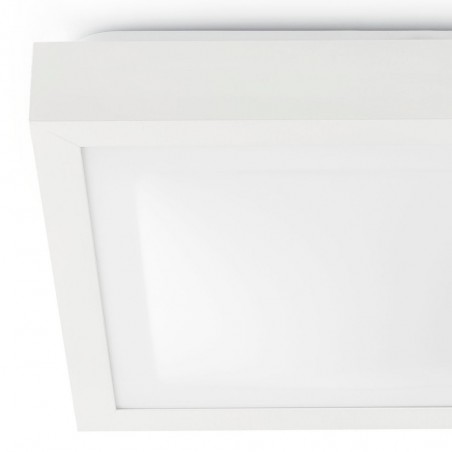 Bathroom Flush Light Tola II